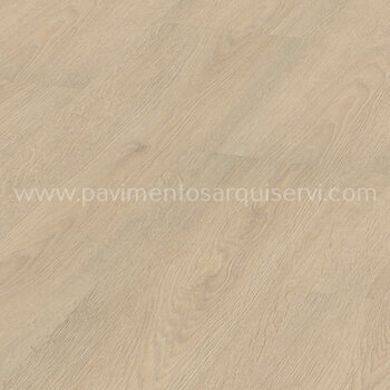 Roble Gaia Loreto Roble Gaia Loreto